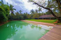 The Orchard Resort - Pools