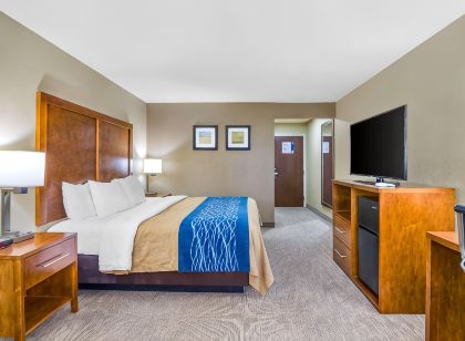 Comfort Inn Ottawa