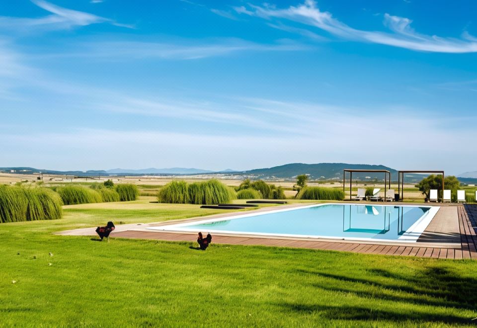 a large outdoor pool surrounded by grass and a wooden deck , with two chickens grazing nearby at Hotel Sa Franquesa Nova