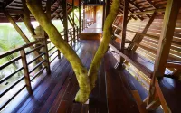 Namkhong Guesthouse and Resort Hotels in Chiang Khong
