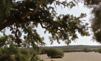 Masseria San Paolo Grande