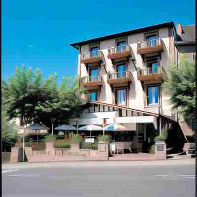 Hôtel des Pyrénées Hotel Exterior
