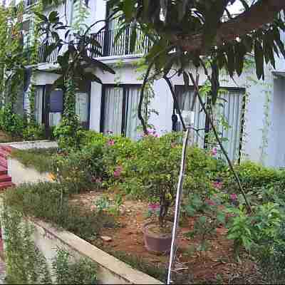 Thai Duong Hotel Hotel Exterior