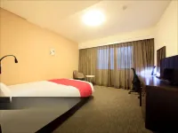 Daiwa Roynet Hotel OKAYAMA-EKIMAE Hotels in 