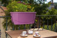 Erdem City Apart Hotels in Kas