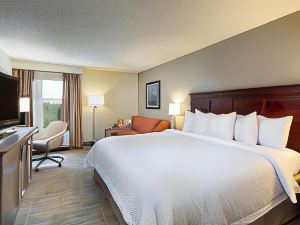 Hampton Inn Houston-Near the Galleria