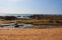 westerly hill pattaya - Losmen