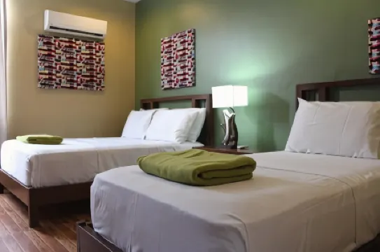 Purple Tree Bed & Breakfast