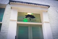 Homely Serviced Apartments - Figtree Hotels in 