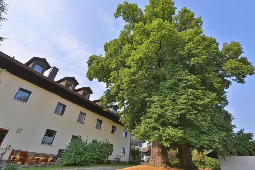 Hotel Bockmaier Hotels in Kirchseeon