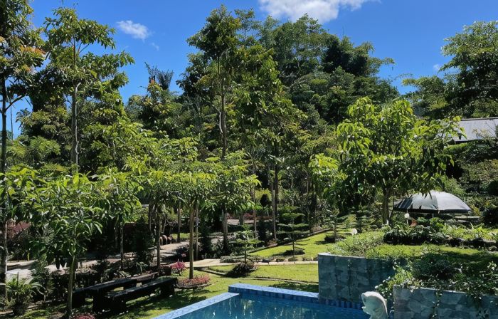 The Siburians Garden