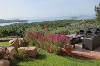Hotel Valdiola Hotels in Cala di Volpe