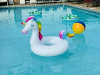 Quality Lodge - Cedar Point Area - Pool