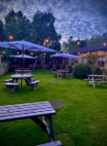 더 보우스 인클라인