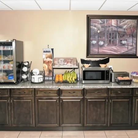 Microtel Inn & Suites by Wyndham Jacksonville Airport