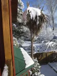 The River Lodge - Mountain view