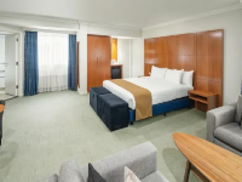 Holiday Inn BASINGSTOKE by IHG Hotel a Basingstoke