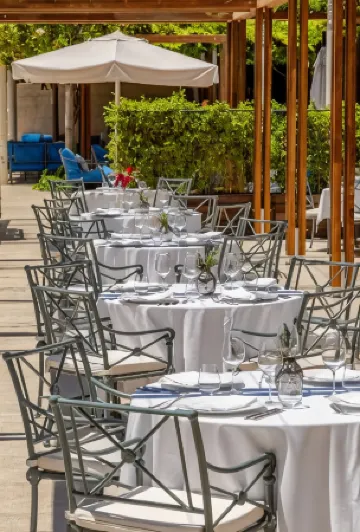 Hotel Park Split Отели рядом с достопримечательностью «Splitlicious»