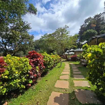 Three Hills Resort & Spa, Coorg