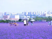 Airport Huahai Hotel (Lanzhou New District Zhongchuan Airport Branch) Hotels in Gaolan