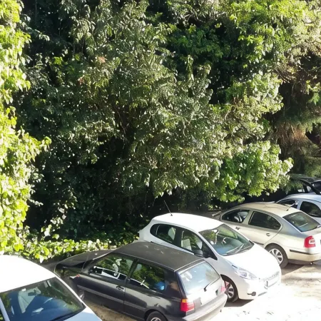 Corredoura Garden