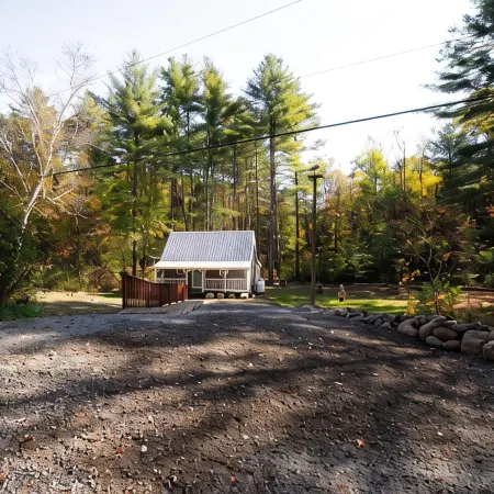 Forest Cabin near Log Bay & Shelving Rock Falls of Lake George.