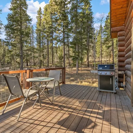 Cozy Mountain Cabin 1 Hour from Denver Backs up to National Forest EV Charging!
