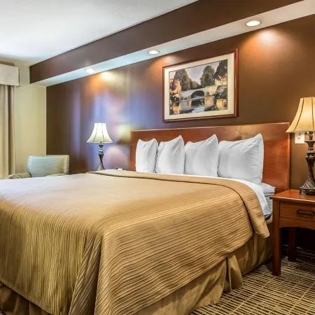 Quality Inn Conyers I-20