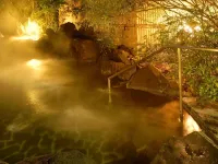 Motoyu Ryokan  Atsugi Iiyama Onsen - con terme