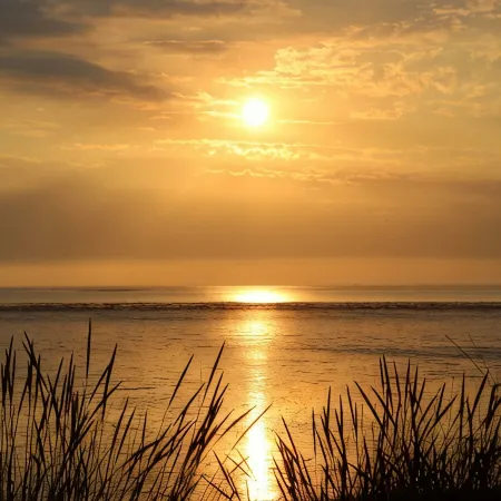 Willow Lodge, Holiday Log Cabin, Cedar Springs, Heacham. Close to the beach.