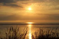 Willow Lodge, Holiday Log Cabin, Cedar Springs, Heacham. Close to the beach. - 4 stjerner