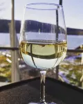 Sunset Lover's Dream! Lakefront Cottage on Otisco! - 3-Star