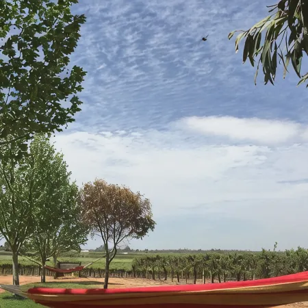 The Picker's Hut - Peaceful vineyard setting