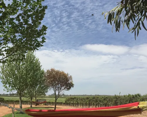 The Picker's Hut - Peaceful vineyard setting Hotels in Barmera