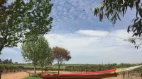 The Picker's Hut - Peaceful vineyard setting - 3-Star