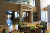 2-Bedroom-King Beds/2 Bath Condo & bonus room w bed-Largest 2-bedroom - بوتيك