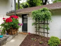 Cottage on Hamby