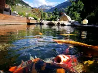 Vacation apartment in the Grisons Oberland Hotéis em Brigels