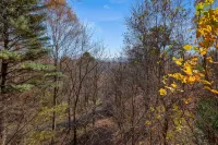 Serene, Secluded Cabin 5 Miles from the Biltmore and Downtown - Chalets