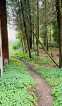 The Holle House- New Outdoor Area Updates!! - Wi-Fi