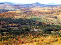 Hand-Crafted Cottage near Gore Mountain and Minerva Lake