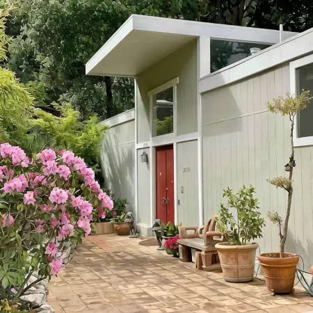 Treetop Refuge in Oakland Hills