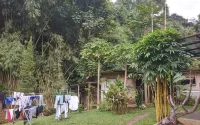 Homestay Triniti - Mountain view