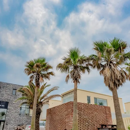 Namib Pool Villa Jeju