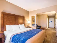 Comfort Inn & Suites Dover-Portsmouth Hotels in Strafford County
