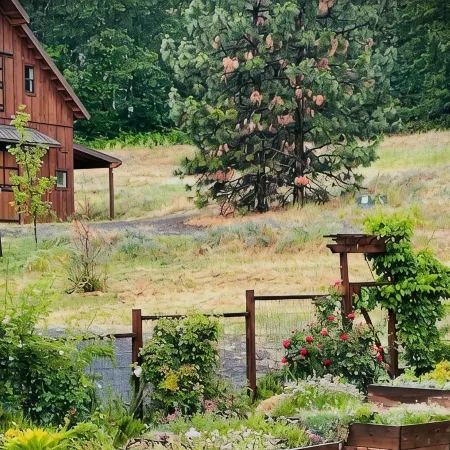 Country Willows Inn and Estate