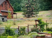 Country Willows Inn and Estate - Hot Springs