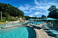Innisbrook Resort - Beach