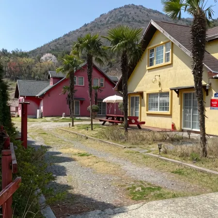 American House