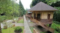 Safari Resort
